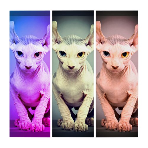 Elf Sphinx Cat Design Triptych