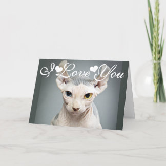 Elf Sphinx Cat Photo Image I Love You Holiday Card