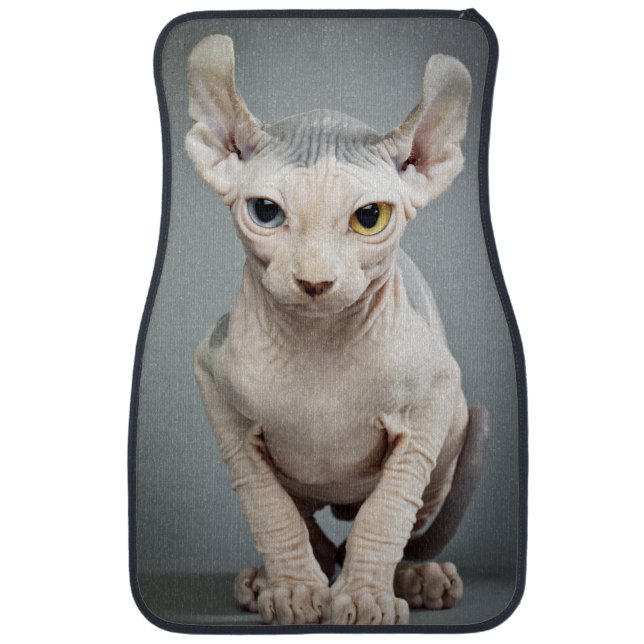Elf Sphinx Cat Photograph Car Mat (Front)