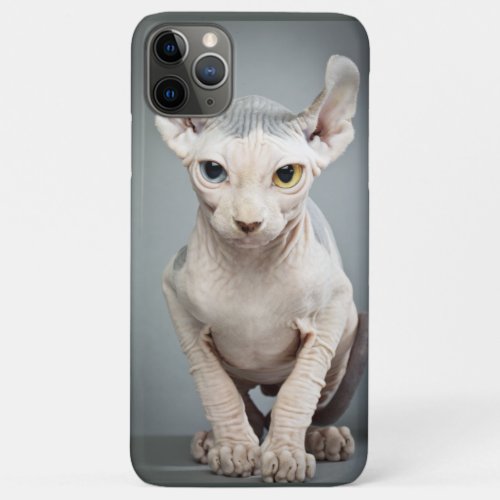 Elf Sphinx Cat Photograph iPhone 11 Pro Max Case