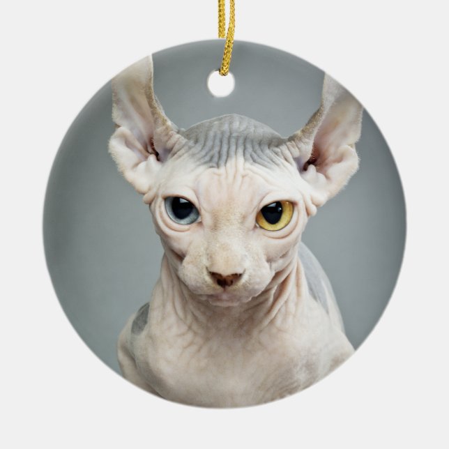 Elf Sphinx Cat Photograph Ceramic Ornament (Front)