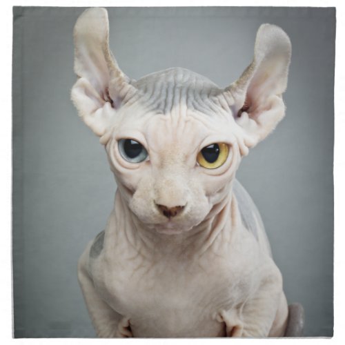 Elf Sphinx Cat Photograph Cloth Napkin