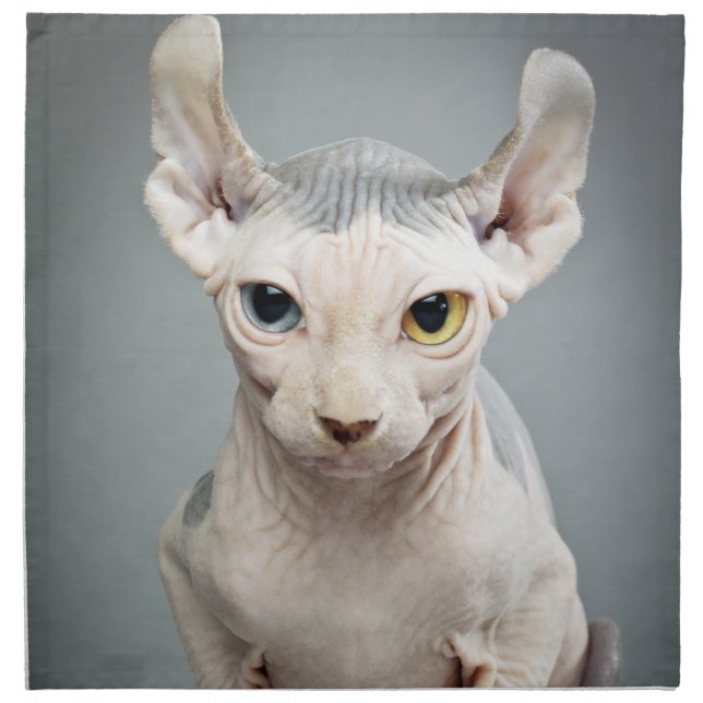Elf Sphinx Cat Photograph Cloth Napkin (Front)