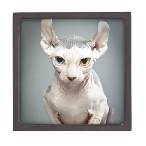 Elf Sphinx Cat Photograph Jewelry Box
