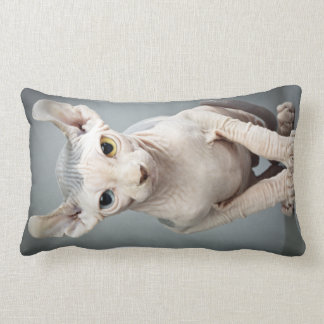 Elf Sphinx Cat Photograph Lumbar Pillow