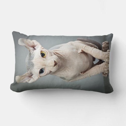 Elf Sphinx Cat Photograph Lumbar Pillow