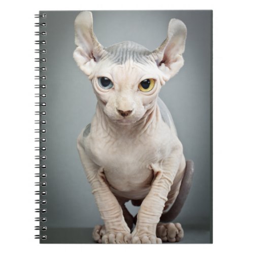 Elf Sphinx Cat Photograph Notebook