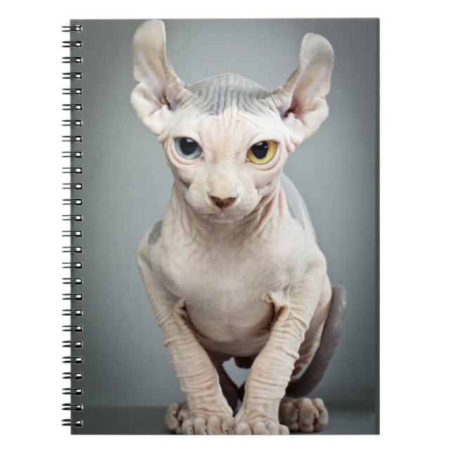 Elf Sphinx Cat Photograph Notebook (Front)