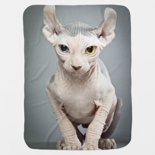 Elf Sphinx Cat Photograph Receiving Blanket
