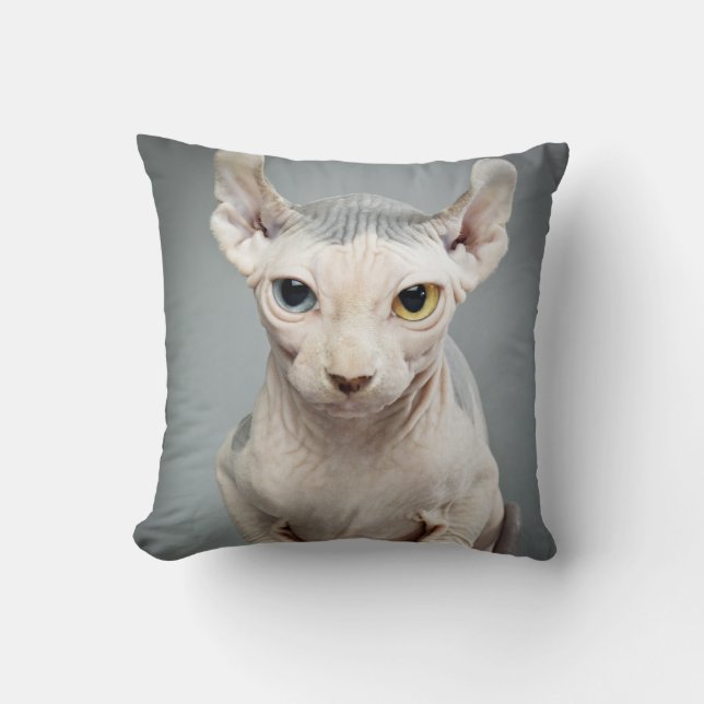 Elf Sphinx Cat Photograph Throw Pillow (Front)