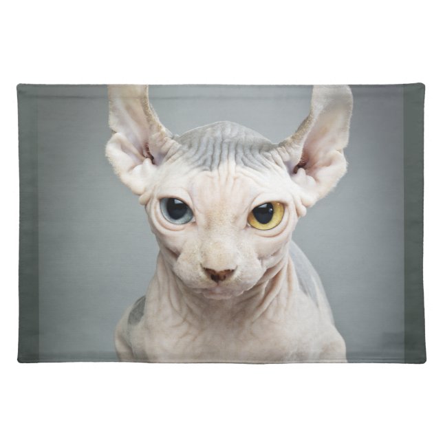 Elf Sphinx Cat Photography Cloth Placemat (Front)