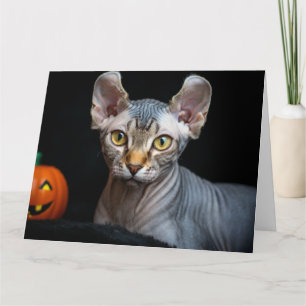 Elf Sphynx Cat Photo Happy Halloween Card