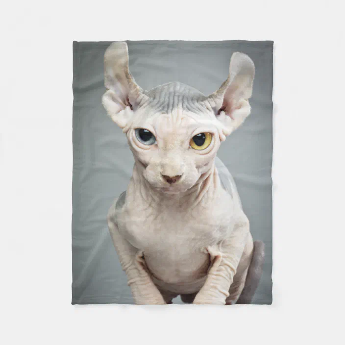 Elf Sphynx Cat Photograph Fleece Blanket Zazzle Com Elf Sphynx Cat Photograph Fleece Blanket Zazzle Com