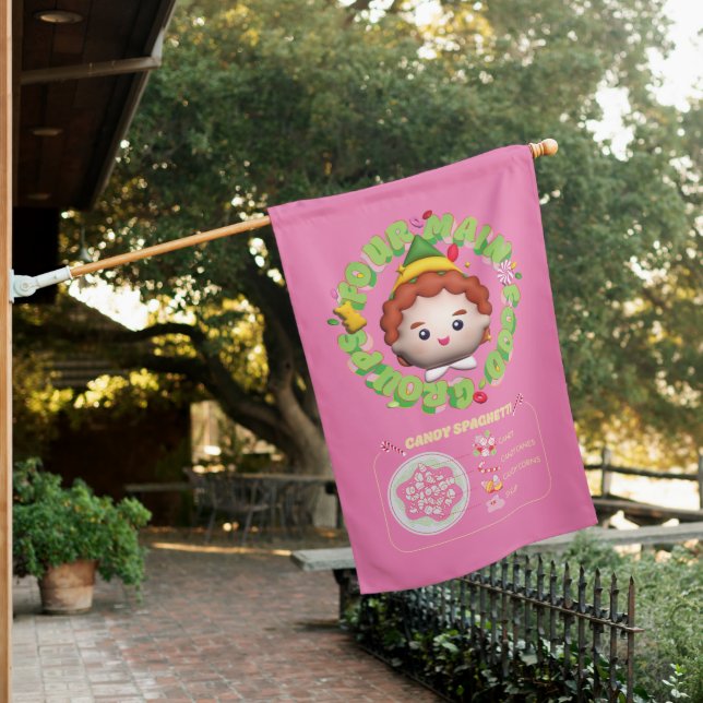 Elf the Movie | Four Main Food Groups House Flag (In SItu)