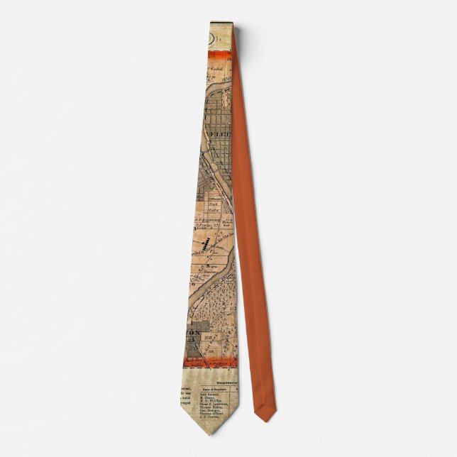 Elgin Illinois 1871 Map Neck Tie (Front)
