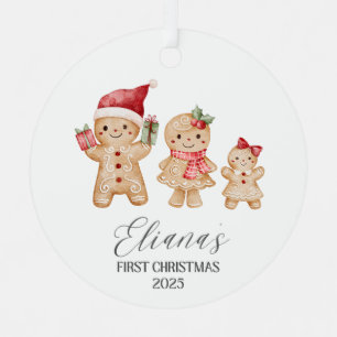 Eliana Personalized Baby's First Christmas Metal Ornament