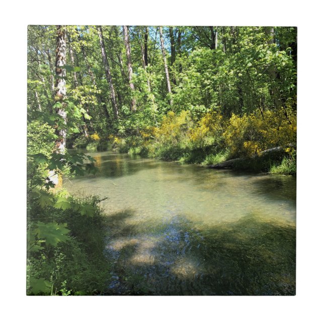 Elijah Bristow State Park, Dexter, Oregon Ceramic Tile (Front)