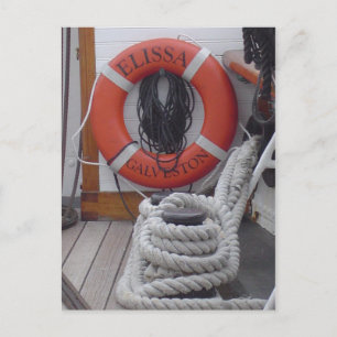 Elissa Ship Galveston Texas Postcard