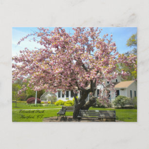Elizabeth Park, Hartford, CT Postcard