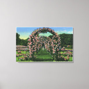 Elizabeth Park View of the Rose Arches Canvas Print