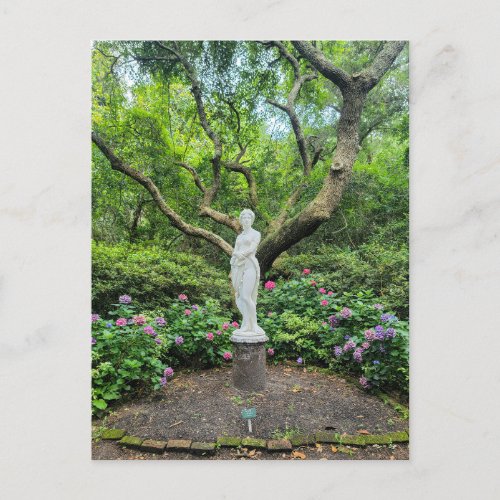 Elizabethan Gardens Postcard