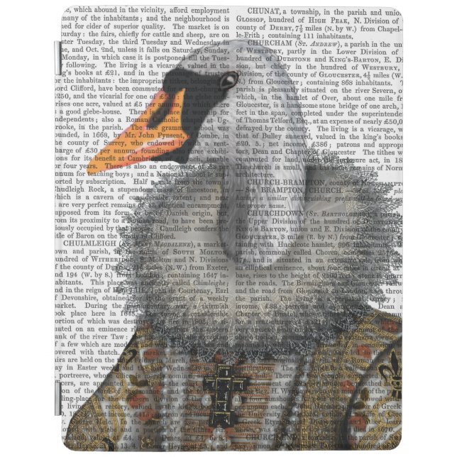 Elizabethan Swan iPad Air Cover (Front)