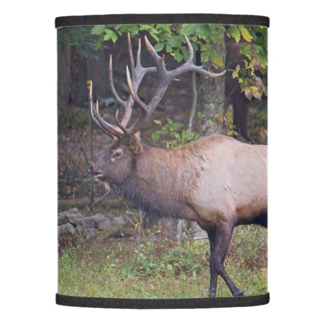 Elk 2 lamp shade (Front)