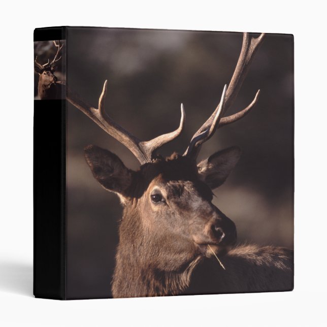 elk 3 ring binder (Front/Spine)