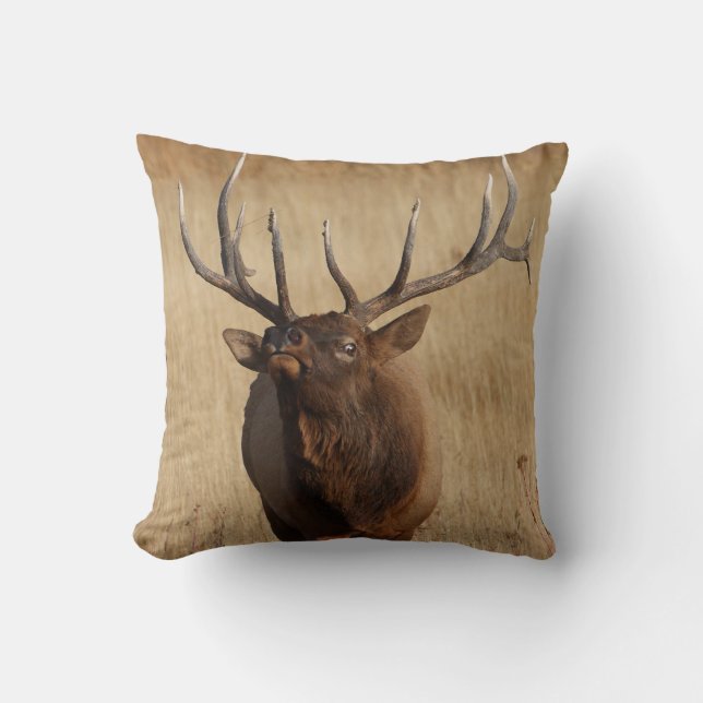 elk and eye bulging throw pillow (Front)