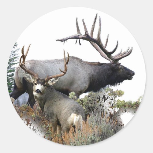 Elk and mule deer classic round sticker