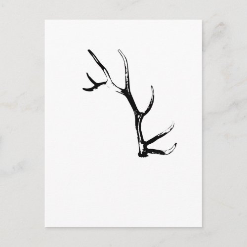 Elk Antler Postcard