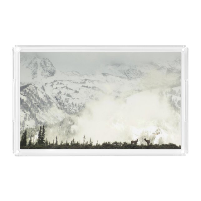 Elk at Grand Teton National Park Photography Acrylic Tray (Front)