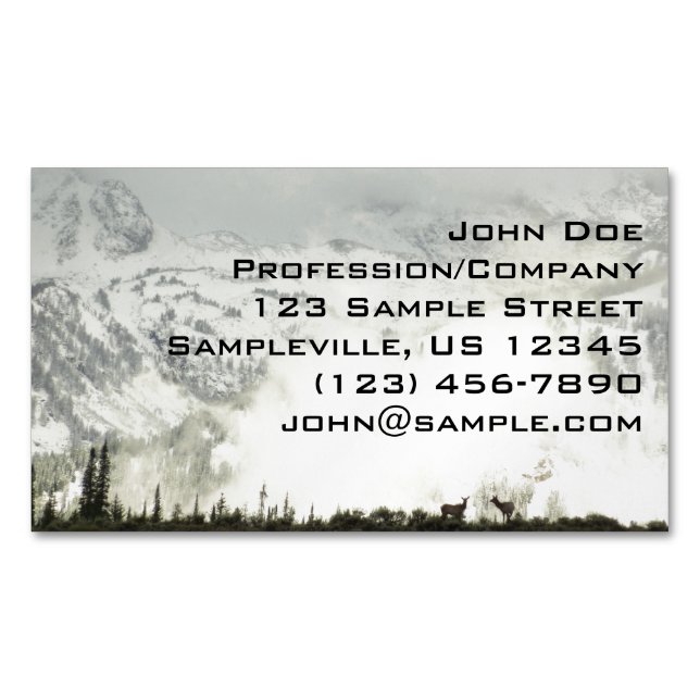 Elk at Grand Teton National Park Photography Business Card Magnet (Front)