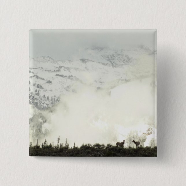 Elk at Grand Teton National Park Photography Button (Front)