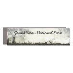 Elk at Grand Teton National Park Photography Car Magnet