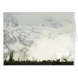 Elk at Grand Teton National Park Photography Card