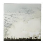 Elk at Grand Teton National Park Photography Ceramic Tile