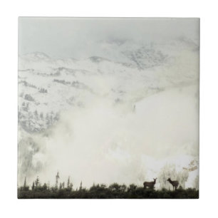 Elk at Grand Teton National Park Photography Ceramic Tile