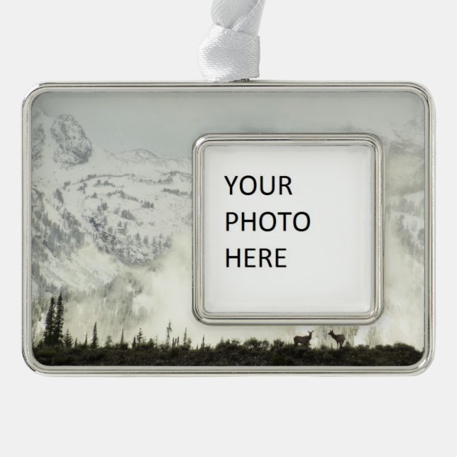 Elk at Grand Teton National Park Photography Christmas Ornament (Front)