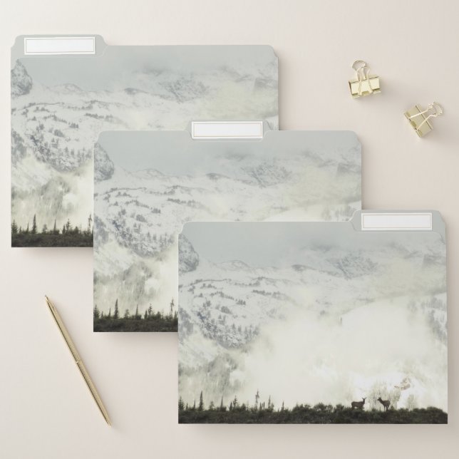 Elk at Grand Teton National Park Photography File Folder (Set)