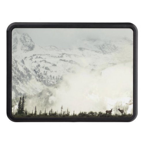 Elk at Grand Teton National Park Photography Hitch Cover