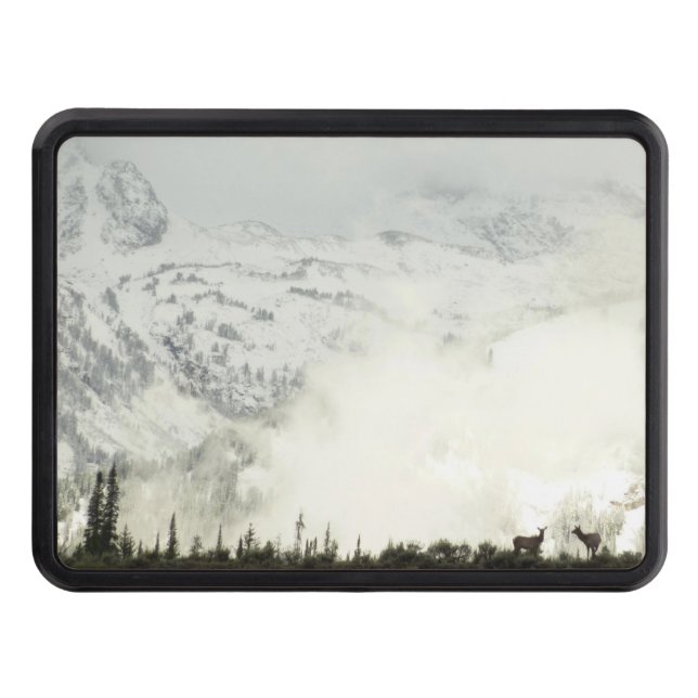 Elk at Grand Teton National Park Photography Hitch Cover (Front)