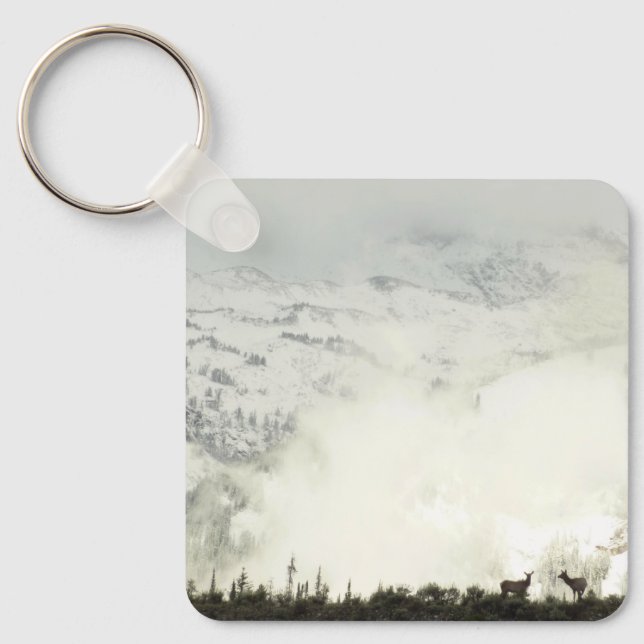 Elk at Grand Teton National Park Photography Keychain (Front)