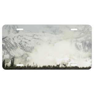 Elk at Grand Teton National Park Photography License Plate