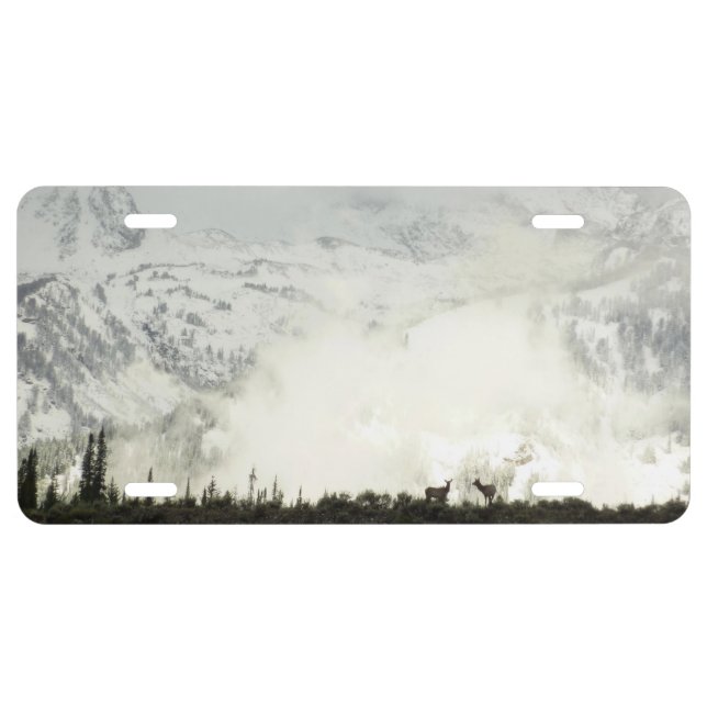 Elk at Grand Teton National Park Photography License Plate (Front)