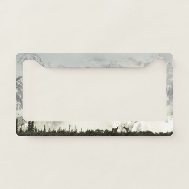 Elk at Grand Teton National Park Photography License Plate Frame (Front)