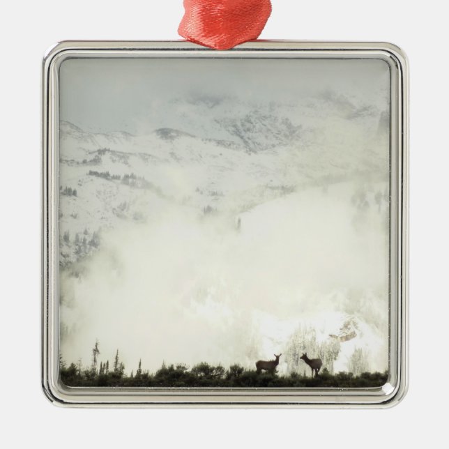 Elk at Grand Teton National Park Photography Metal Ornament (Front)