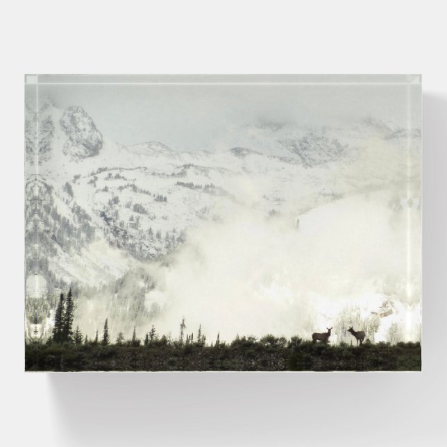 Elk at Grand Teton National Park Photography Paperweight (Front)