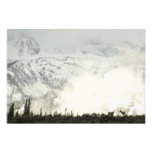 Elk at Grand Teton National Park Photography Photo Print