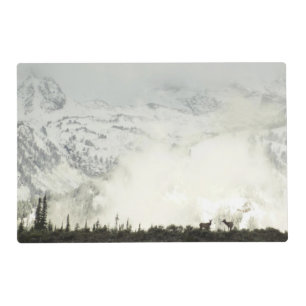 Elk at Grand Teton National Park Photography Placemat